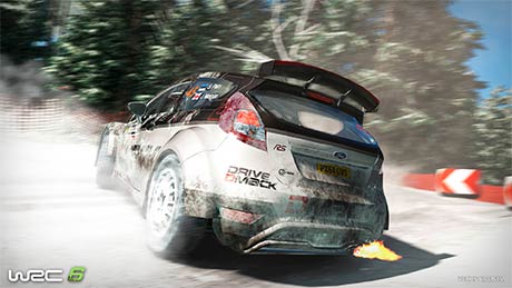WRC 6 #2