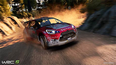 WRC 6 #5